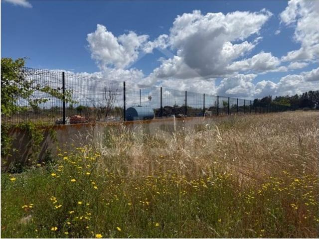 Terreno venda em Porto Alto, Benavente