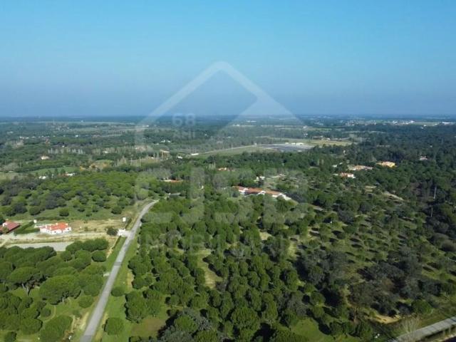 Terreno venda em Benavente, Santarém