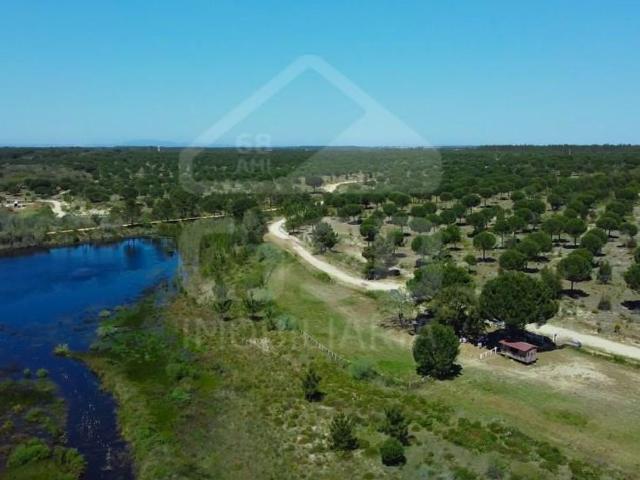 Terreno venda em Benavente, Santarém