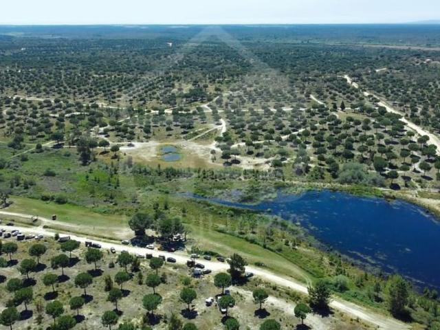 Terreno venda em Benavente, Santarém