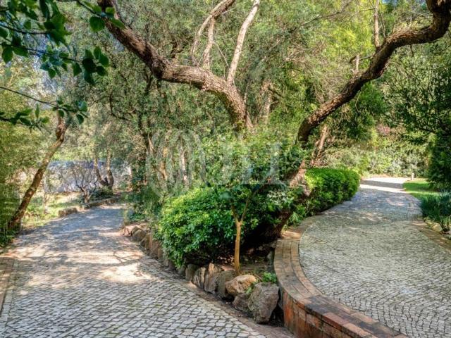 Terreno venda em Visconde da Luz, Cascais