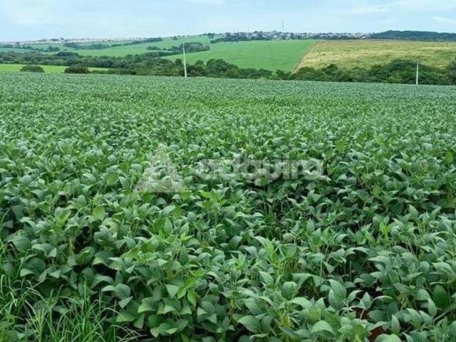 Terreno venda em Boa Vista, Ponta Grossa