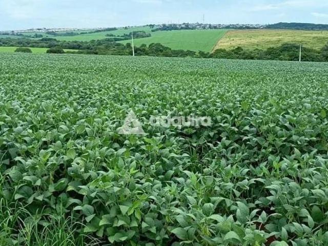 Terreno venda em Região Geográfica Imediata de Ponta Grossa, Ponta Grossa