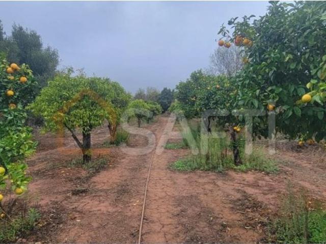 Terreno venda em Marcos Mendes, Loulé