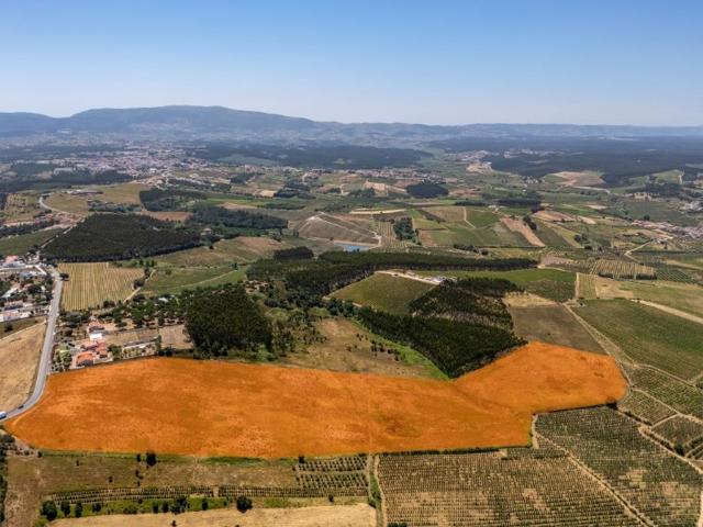 Terreno venda em Sanguinhal, Bombarral