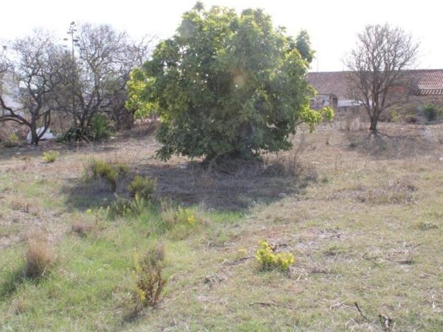 Terreno venda em Vila Do Bispo, Faro