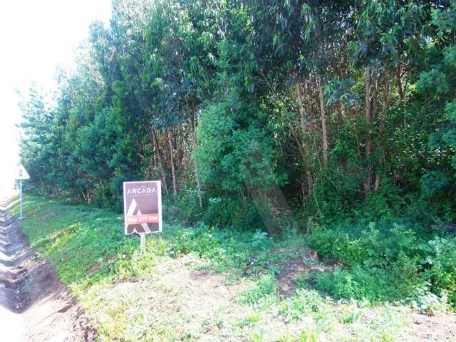 Terreno venda em Aveiro