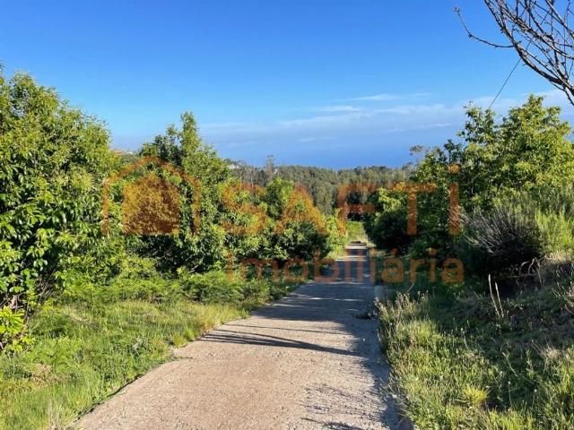Terreno venda em Ladeira e Lamaceiros, Arco Da Calheta