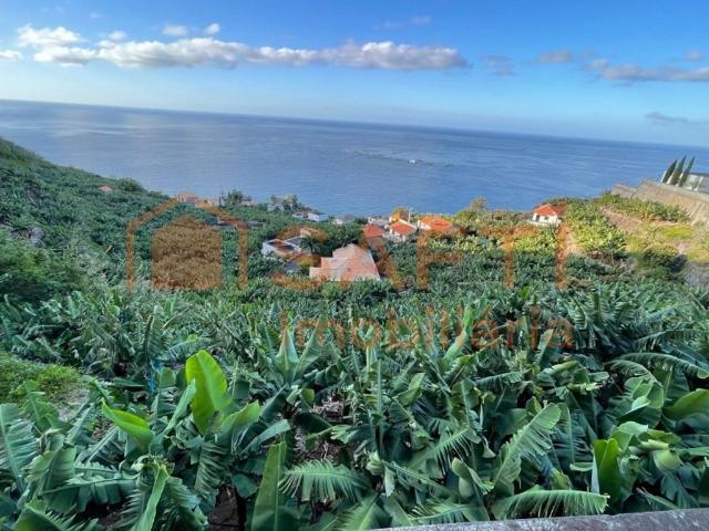 Terreno venda em Ladeira e Lamaceiros, Arco Da Calheta