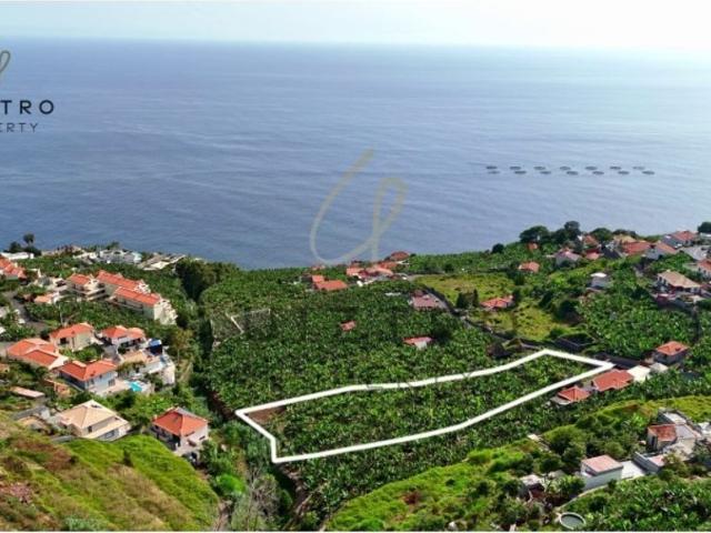 Terreno venda em Ladeira e Lamaceiros, Arco Da Calheta