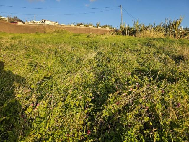 Terreno venda em Ilha Da Madeira