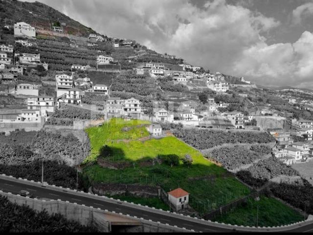 Terreno venda em Câmara De Lobos, Ilha Da Madeira
