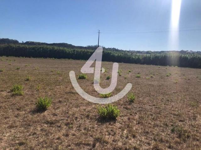 Terreno venda em Casais de Salir, Caldas Da Rainha