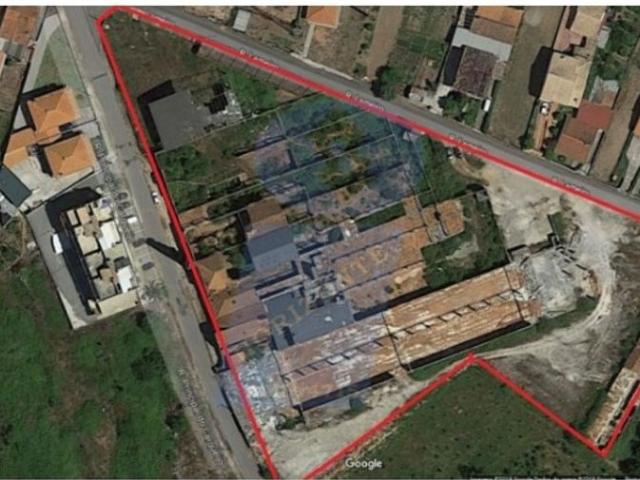 Terreno venda em Barro, Águeda