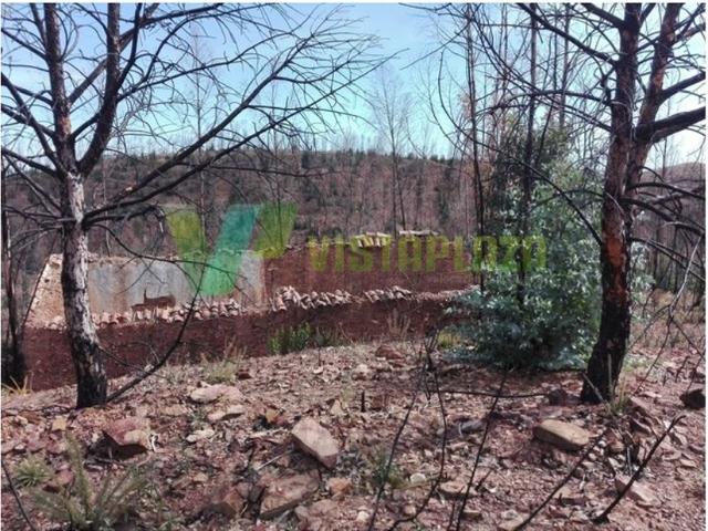 Terreno venda em Silves, Faro