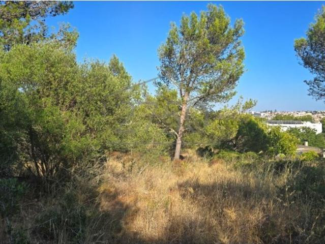 Terreno venda em Visconde da Luz, Cascais