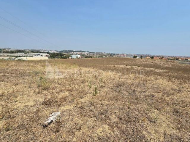 Terreno venda em Cascais, Lisboa