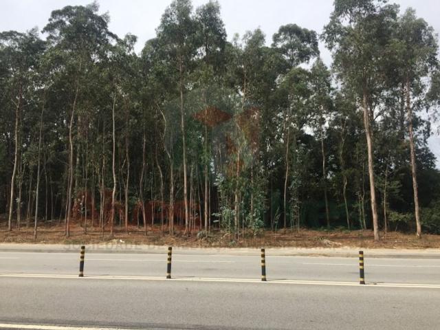 Terreno alugar em Maia