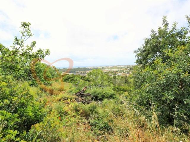 Terreno venda em Albufeira e Olhos de Água, Albufeira