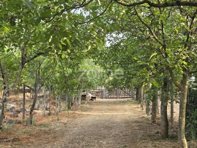 Terreno venda em Cernache, Coimbra