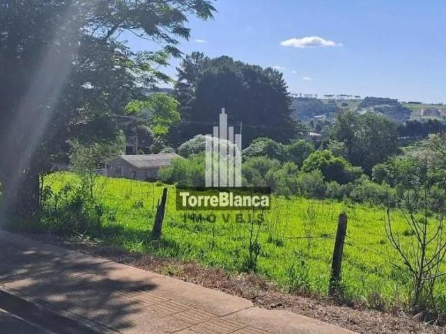 Terreno venda em Região Geográfica Imediata de Ponta Grossa, Ponta Grossa