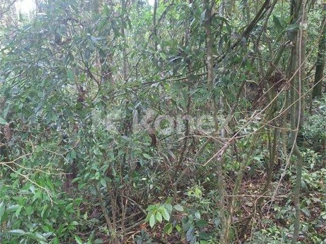 Terreno venda em Parque Suiça, Caieiras