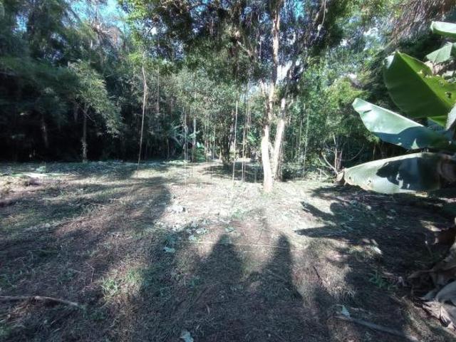 Terreno venda em Rocio, Morretes