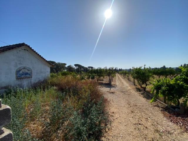 Terreno venda em Setúbal, Aldeia Rica Terreno venda em Setúbal, Aldeia Rica