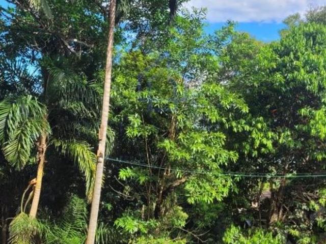 Terreno venda em Barra Velha, Ilhabela