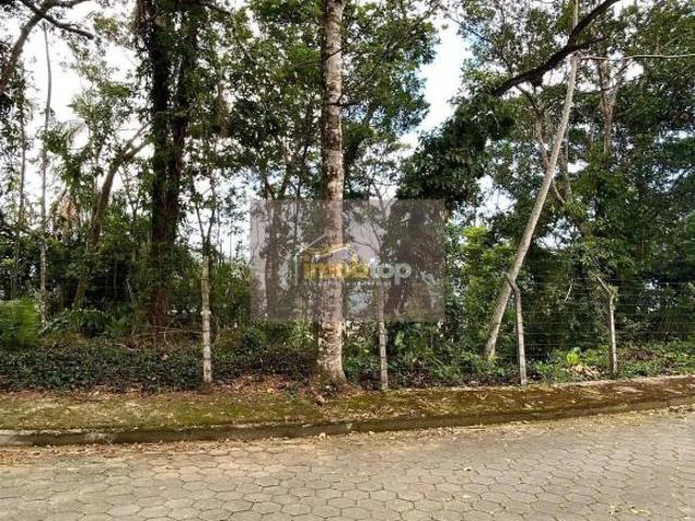 Terreno venda em Caraguatatuba