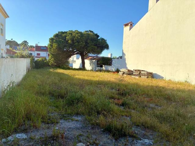 Terreno venda em Castelo Branco, Vila De Rei