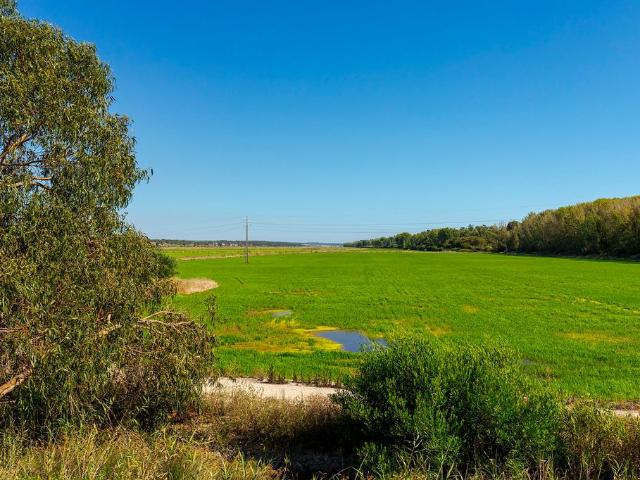Terreno venda em Castelo Branco, Vila De Rei
