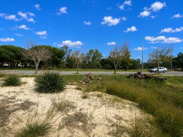 Terreno venda em Comporta, Alcácer do Sal