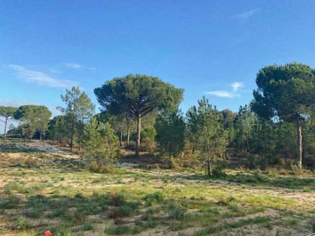 Terreno venda em Castelo Branco, Vila De Rei