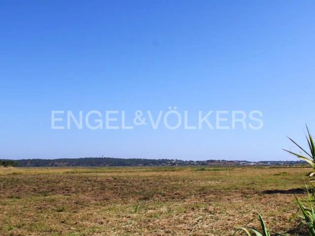 Terreno venda em Alcácer Do Sal, Setúbal