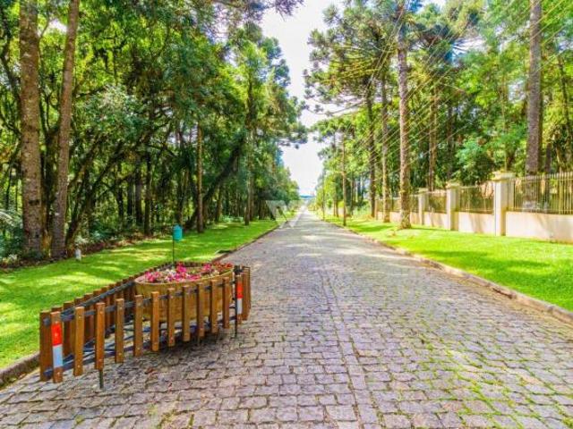 Terreno venda em Região Geográfica Imediata de Curitiba, Região Metropolitana de Curitiba