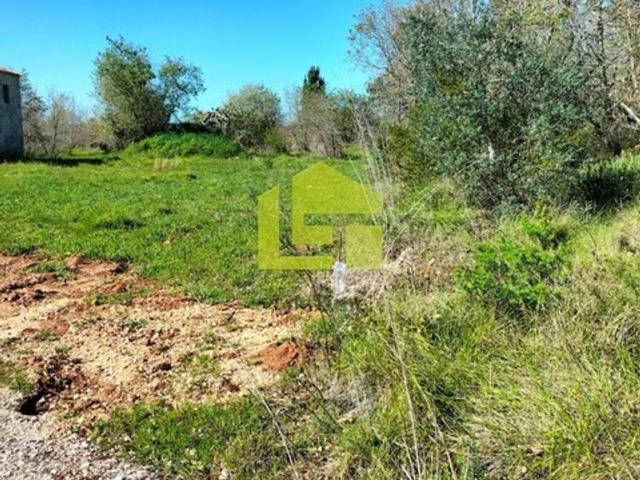 Terreno venda em Condeixa-a-nova, Coimbra