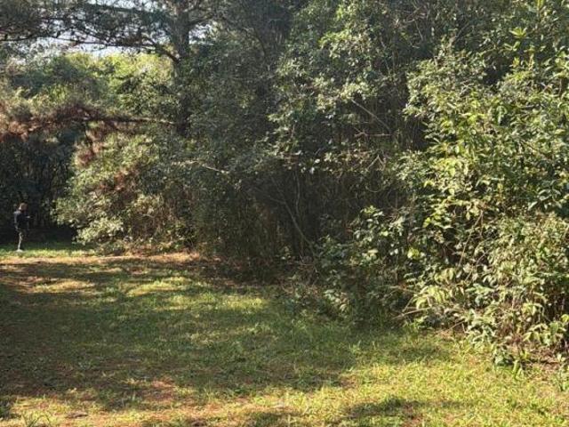 Terreno venda em Região Geográfica Imediata de Porto Alegre, Região Metropolitana de Porto Alegre