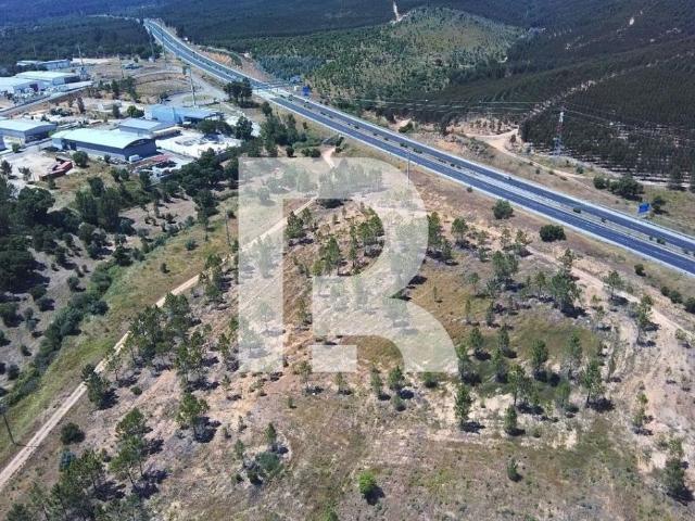 Terreno venda em Constância, Santarém