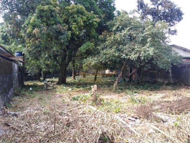 Terreno venda em Cubatão