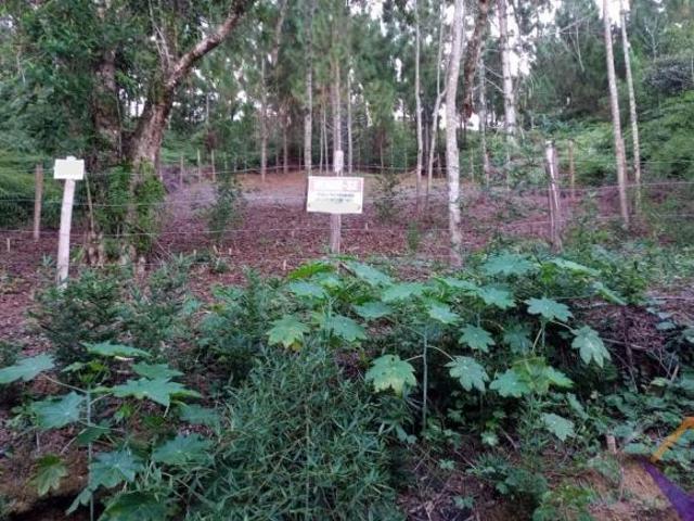 Terreno venda em Capricórnio III, Caraguatatuba