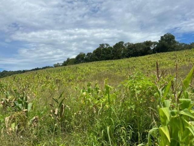 Terreno venda em Região Imediata de Sorocaba, Região Metropolitana de Sorocaba