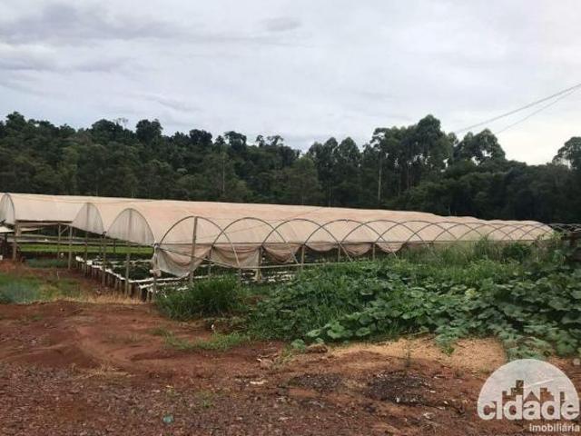 Terreno venda em Região Geográfica Imediata de Cascavel, Cascavel