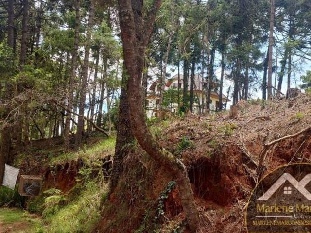 Terreno venda em Região Imediata de Taubaté-Pindamonhangaba, Região Metropolitana do Vale do Paraíba e Litoral Norte