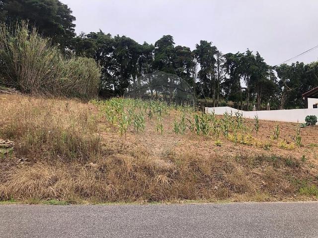 Terreno venda em A dos Negros, Óbidos