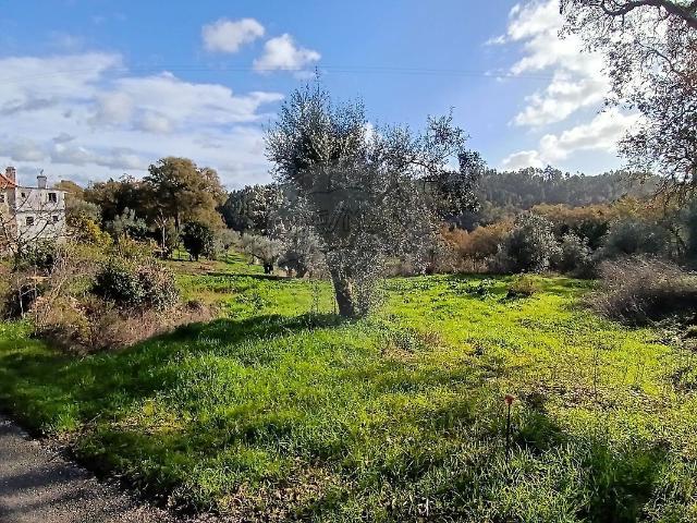Terreno venda em Abiul, Pombal