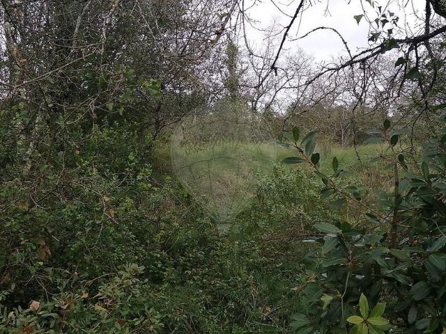 Terreno venda em Abiul, Pombal
