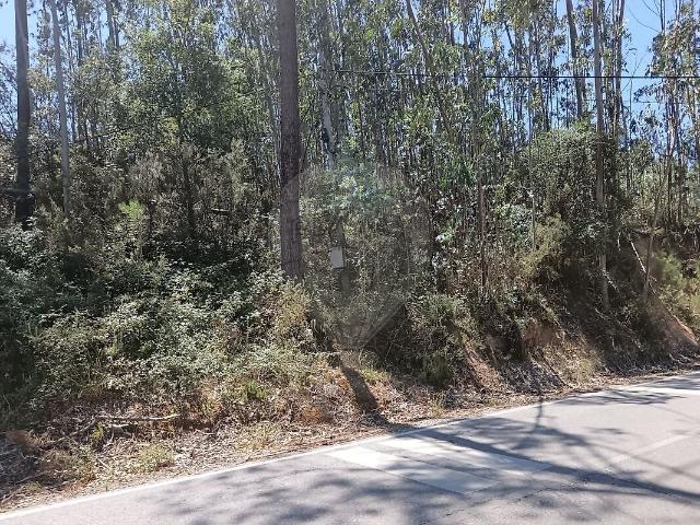 Terreno venda em Abiul, Pombal