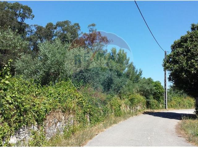 Terreno venda em Abiul, Pombal