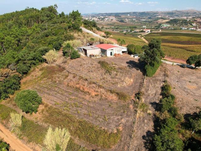 Terreno venda em Torres Vedras, Lisboa